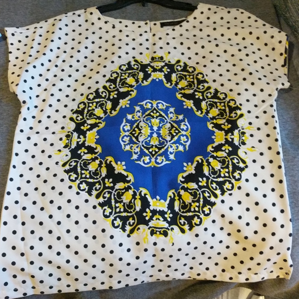 The Limited Blouse